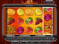 Absolute Fruit Spielautomat