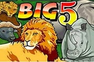 Big 5 Spielautomat