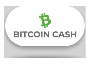 Bitcoin Cash Casino