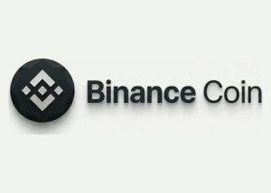 BNB Casino