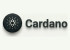 Cardano Echtgeld Casinos