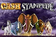 Cash Stampede Spielautomat