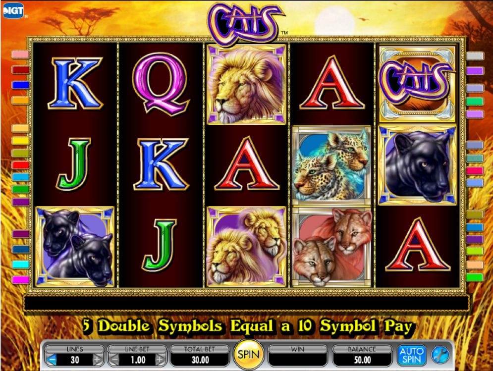 Cats online Casinospiel