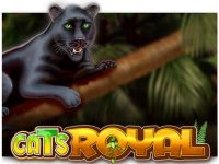 Cats Royal Spielautomat