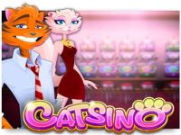 Catsino Spielautomat