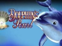 Dolphin's Pearl Spielautomat