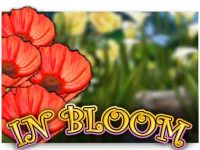 In Bloom Spielautomat