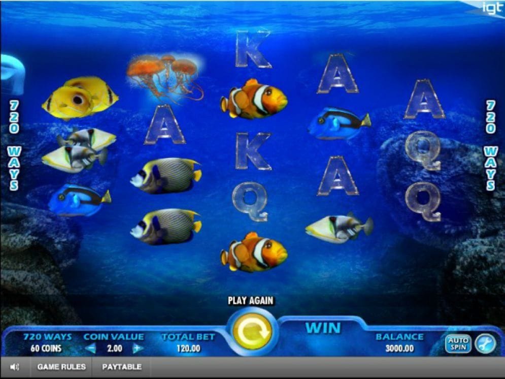 Pacific Paradise Video Slot