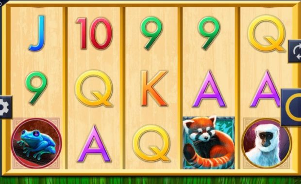 Red Panda Paradise Spielautomat online spielen