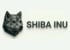 Shiba Inu online Spielbanken