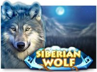 Siberian Wolf Spielautomat