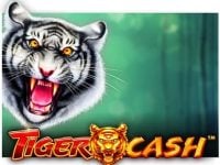 Tiger Cash Spielautomat
