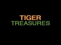 Tiger treasures Spielautomat