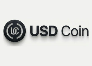 USD Coin (USDC) Casino