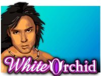 White Orchid Spielautomat