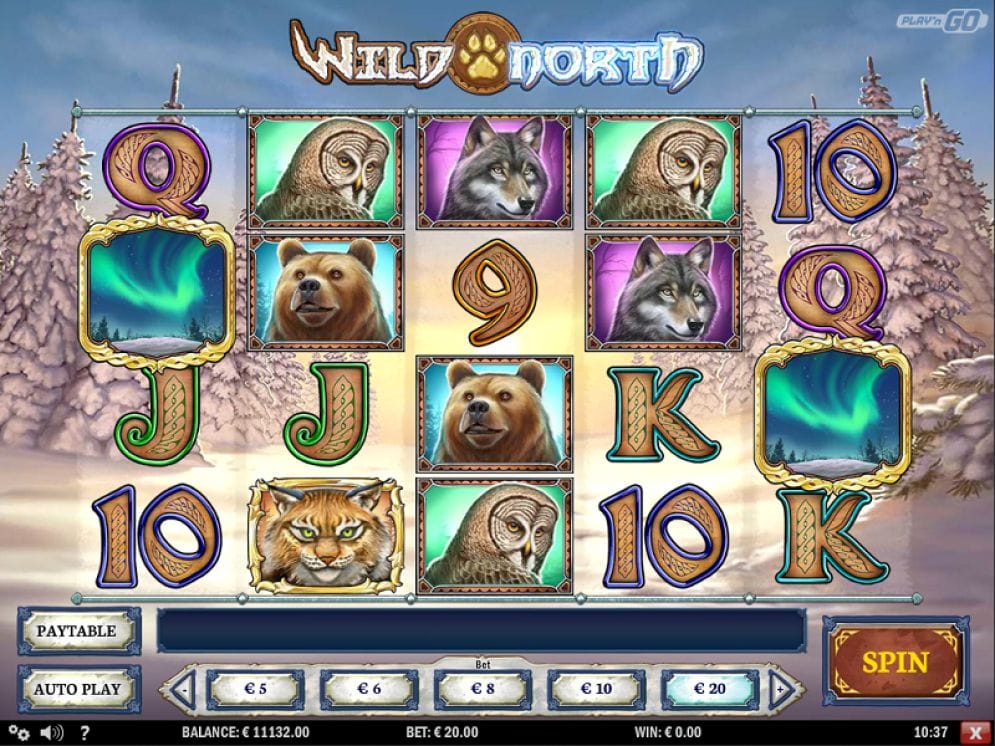 Wild North online Automatenspiel