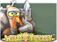 Wild Turkey Spielautomat