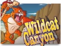 Wildcat Canyon Spielautomat