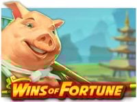 Wins of Fortune Spielautomat