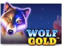 Wolf Gold Spielautomat